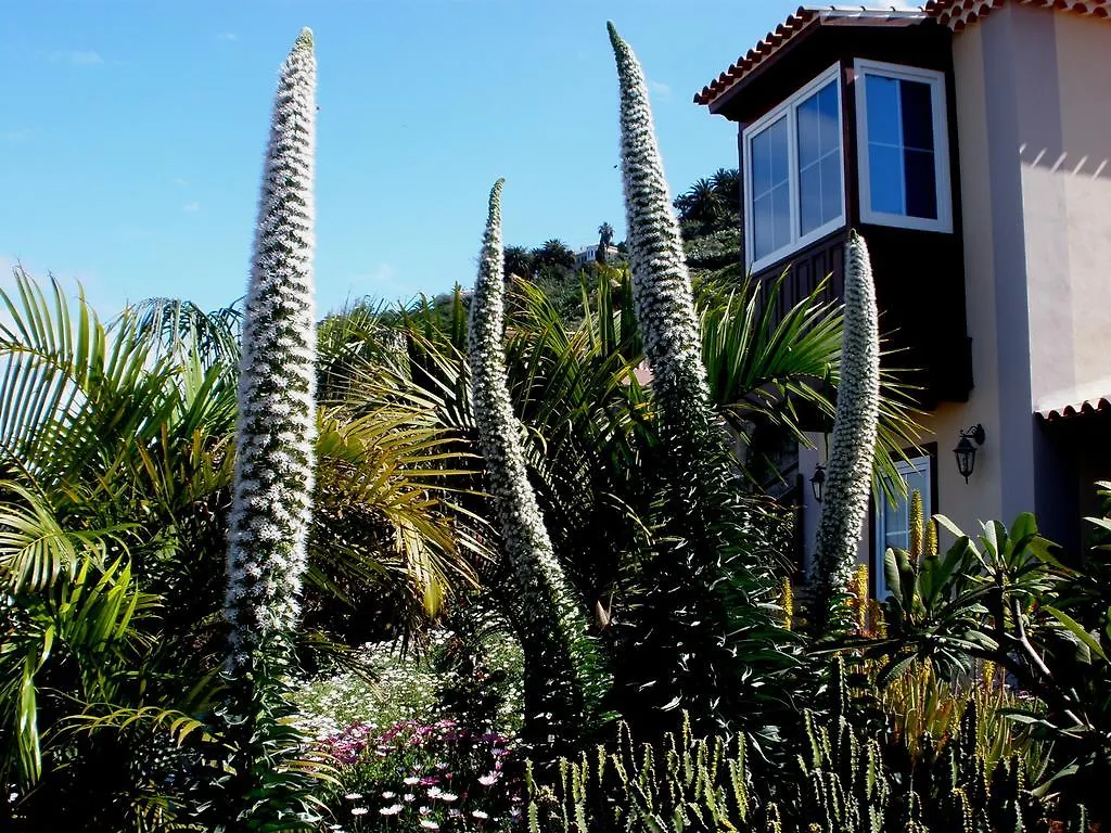 Apartamento Mar Y Teide